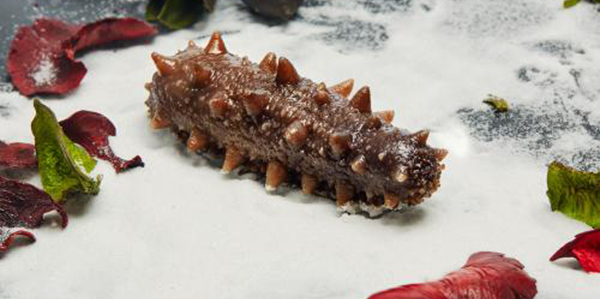 怎樣快速的區(qū)分淡干海參、鹽干海參和凍干海參？